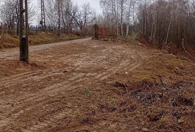Teren de 2000 mp, în Bulz - 4