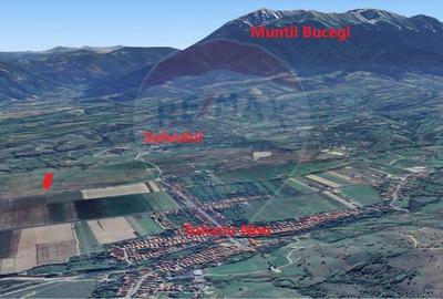 Teren extravilan 11,089mp Tohanu Nou intrare Sohodol