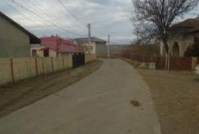 Casă cu 1 camere cu Teren 1467 Mp în Coconari - 3