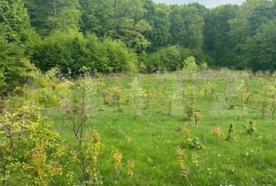 Teren de 3300 mp, în Central