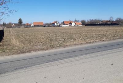 Teren Construcții intravilan de 2325 mp, în Lunca Calnicului - 4