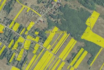 Teren de 4582 mp, în Jiana - 1