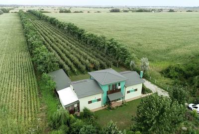 Casă individuală cu 5 camere cu Canalizare în Clinceni - 3