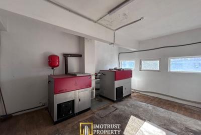 Hală Industrială de inchiriat - Lipova, Județul Arad - 10