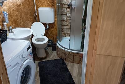 Casă individuală cu 3 camere cu Canalizare în Surducu Mic - 3