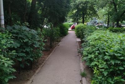 Garsonieră semidecomandată în Drumul Taberei - 15