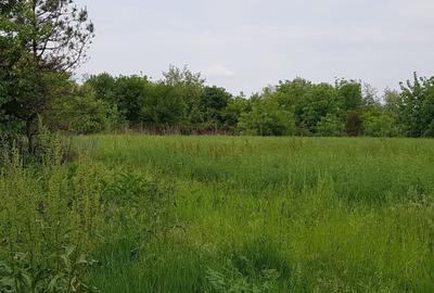 O oportunitate excepțională pe malul Lacului Snagov - 3