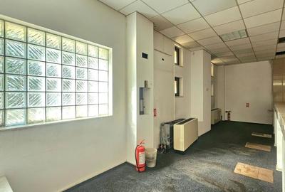 Spațiu comercial, de 1,000 mp, în Bucureștii Noi - 4