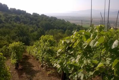 Spațiu comercial, în Cristian - 7