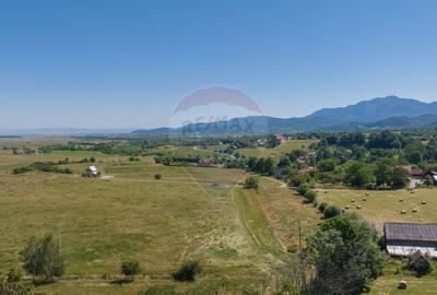 Teren Bran -Sohodol, Strada La mesteceni, 6900mp Teren Bran -Sohodol, Strada La mesteceni, 6900mp - 9