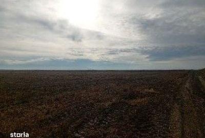 Teren de 5000 mp, în Lunca - 6