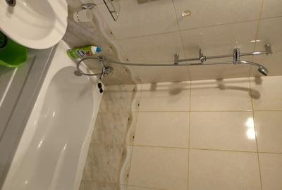 Garsonieră spațioasă 41 mp, etaj 2, bloc nou, parc IOR - 5