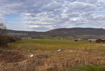 Teren Construcții intravilan de 12300 mp, în Sud - 3