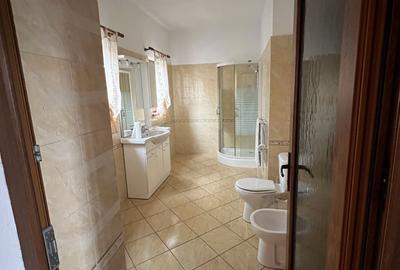 Casă cu 4 camere cu Teren 1079 Mp în Dudeștii Vechi - 8