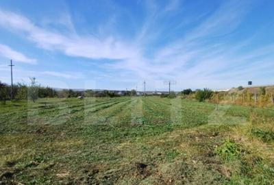 Teren extravilan, cu CF, 2963 mp, in Mihai Viteazu - 2