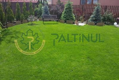 Vila Șelimbăr - 700 mp teren, jacuzzi, semineu, front stradal 30 ml - 27