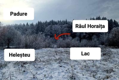 Spațiu comercial, în Negrești - 7