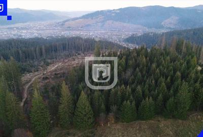 Teren situat in Frasin | BUCOVINA - 4