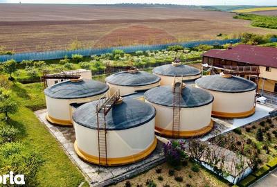 Spațiu comercial, de 2,800 mp, în Buciumeni - 5