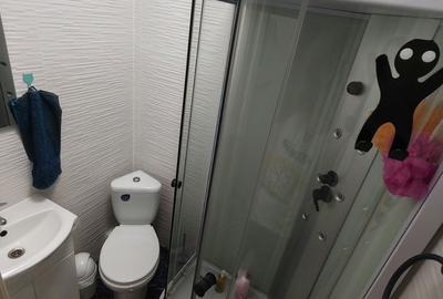 Apartament cu 3 camere decomandat în Palazu Mare - 7