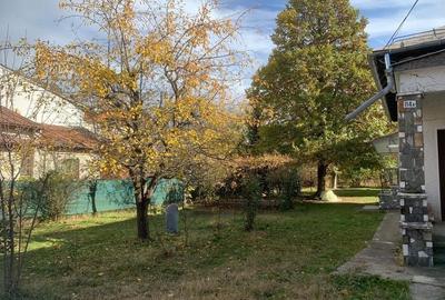 Casă 122 mp+garaj,  teren 1771 mp-Campina aproape de școala centrală! - 25