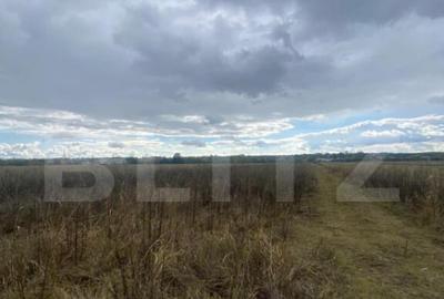 Teren extravilan, 2500 mp, zona Lucieni - 2