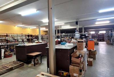 Spațiu comercial, de 1,790 mp, în Borș - 17