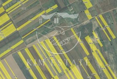 De vanzare 200 hectare Facaeni Ialomita - 2