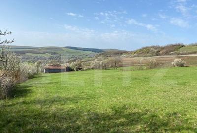 Casa cu 10000mp de teren in Buza, la 50 km de Cluj-Napoca - 12