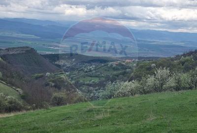Teren intravilan de 23600 mp, în Inuri - 5