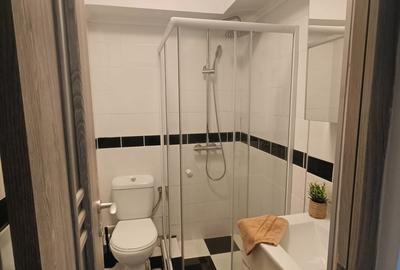 Apartament cu 2 camere semidecomandat în Romană - 3