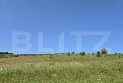 Teren de 1200 mp, în Sălicea - 2