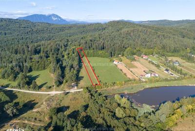 Spațiu comercial, în Vulcan - 15