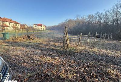 Teren de 3676 mp, în Păulești - 2
