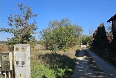 Snagov - Izvorani - Ciolpani teren rezidential - 4