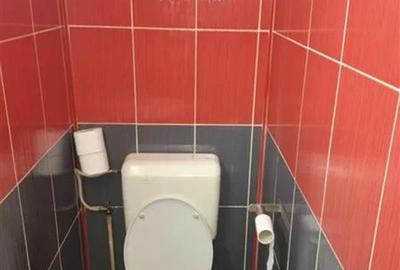 Vanzare Apartament 3 Camere Decomandat Aparatorii Patriei-Mariuca - 8