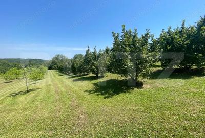 Spațiu comercial, de 56 mp, în Central - 4