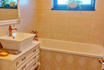 Sacalaz - casa de vanzare - 10