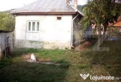 Casă cu 2 camere cu Teren 3673 Mp în Coșeiu - 2