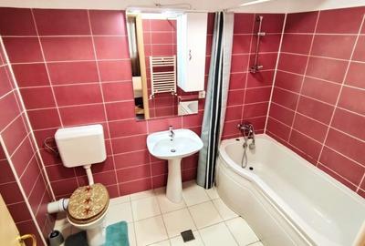 Apartament cu 2 camere semidecomandat, mobilat în Grozăvești - 5