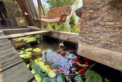 Casa de inchiriat, cu 4 dormitoare cu piscina, gratar, ia - 7