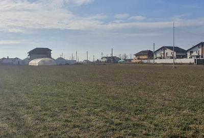 1000mp teren 50m de lacul Valea Maminei, cu proiect ptr. vila. OCAZIE - 5