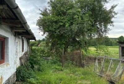 Casă individuală cu 3 camere cu Teren 3100 Mp în Asuaju de Jos - 4