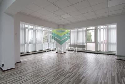 Birou de inchiriat // Domenii // Mihalache - 11