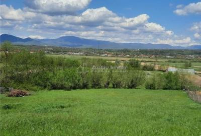 Teren de 1300 mp, în Central