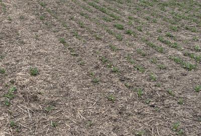 Spațiu comercial, în Vasilați - 2