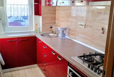 Apartament cu 2 camere în Șega - 6