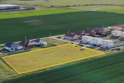 Teren Construcții intravilan de 4465 mp, în Sânandrei - 1