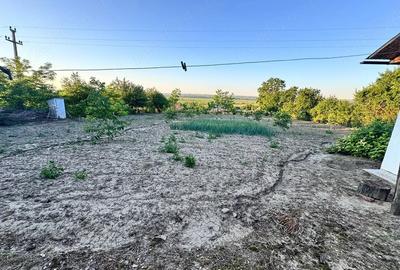 Casă cu Teren 2700 Mp în Scoposeni (Gorban) - 4