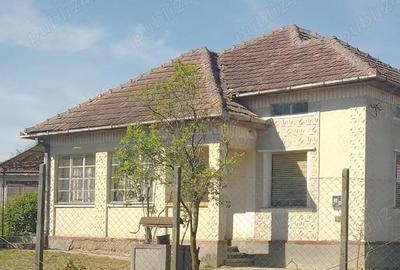 Casă cu 3 camere cu Teren 4123 Mp în Viile Satu Mare - 2